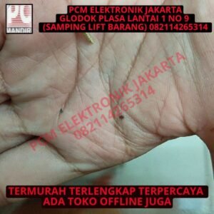 baut sekrup buat box kuping 2mmx6mm 2 mm x 6mm 6 mm