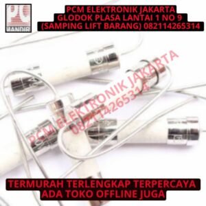 fuse 5a 5 ampere 5ampere keramik ada kaki