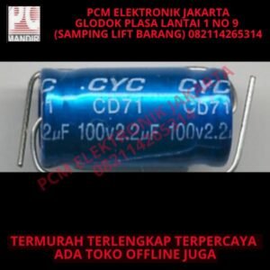 elco nonpolar non bi polar bipolar np bp 10uf 10 uf 100v 100volt