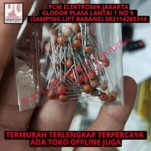 kapasitor keramik kramik 4pf 4 pf pico farad 4picofarad 4pico b