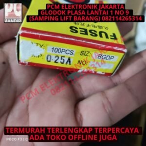 fuse sekring sekering sikring 5x20 5 x 20 mm 0.25a 250ma 250 ma