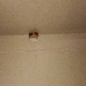 8281 super kapasitor capacitor baterai battery 0.22f 0,22f 5.5v 5,5v