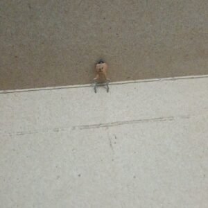 8399 kapasitor capacitor keramik ceramic 6pf 6 pf