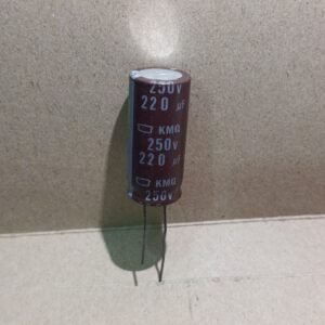 6957 kapasitor elco 220mf 220 mf 250v 250volt  250 volt nippon chemicon